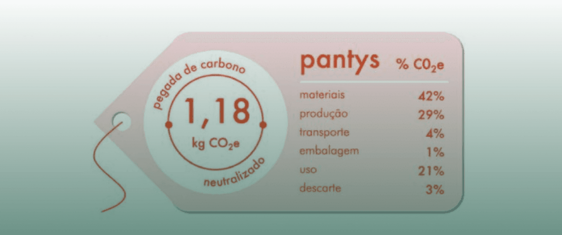 Logo Pantys em letras brancas sobre fundo verde claro, identificando a marca de calcinhas absorventes sustentáveis